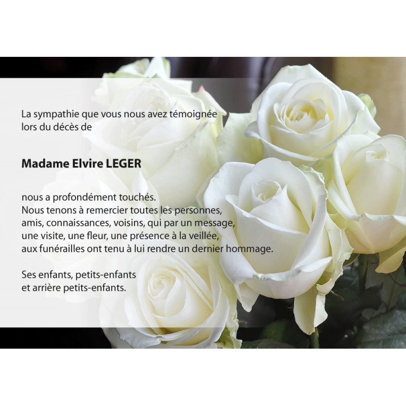 Roses blanches